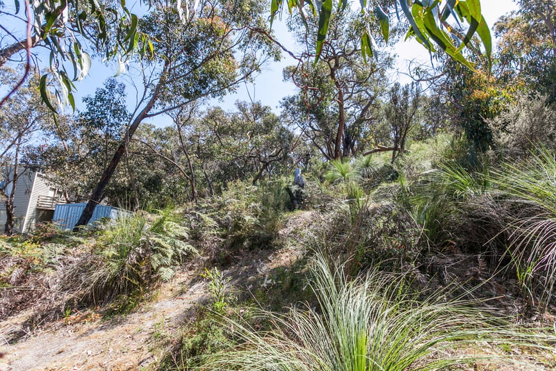 30 Niblick Street, Anglesea, VIC, Anglesea - Thumbnail 4