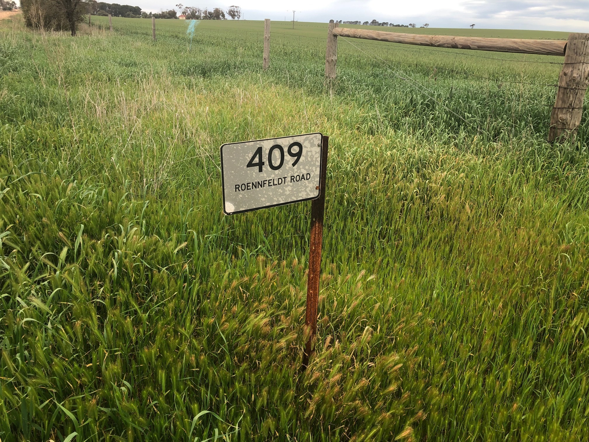 Sold property Undisclosed for 409 Roennfeldt Rd Wasleys , SA 5400