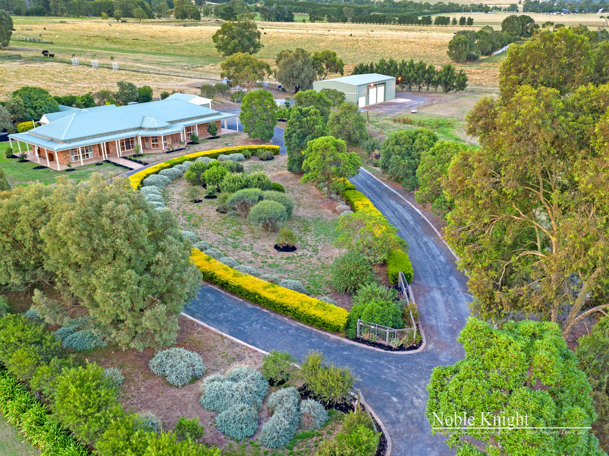 Noble Knight Real Estate