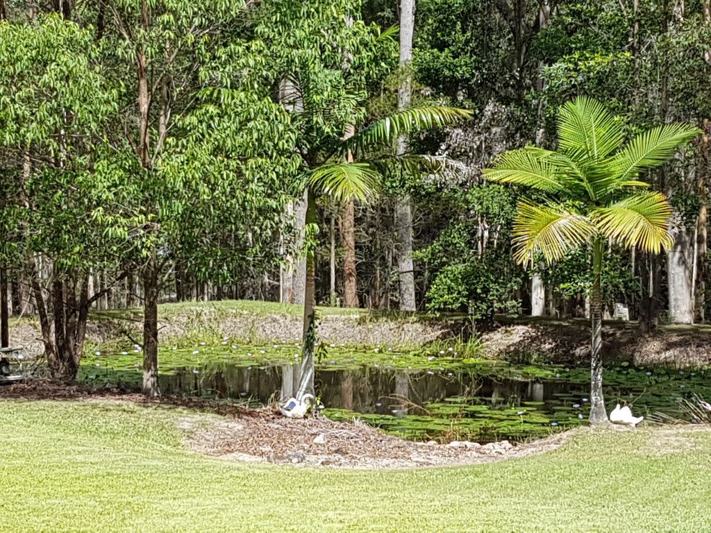 221 Crowther Dr, KUNDABUNG NSW 2441