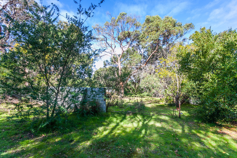 11 Second Avenue, Anglesea, VIC, Anglesea - Thumbnail 6