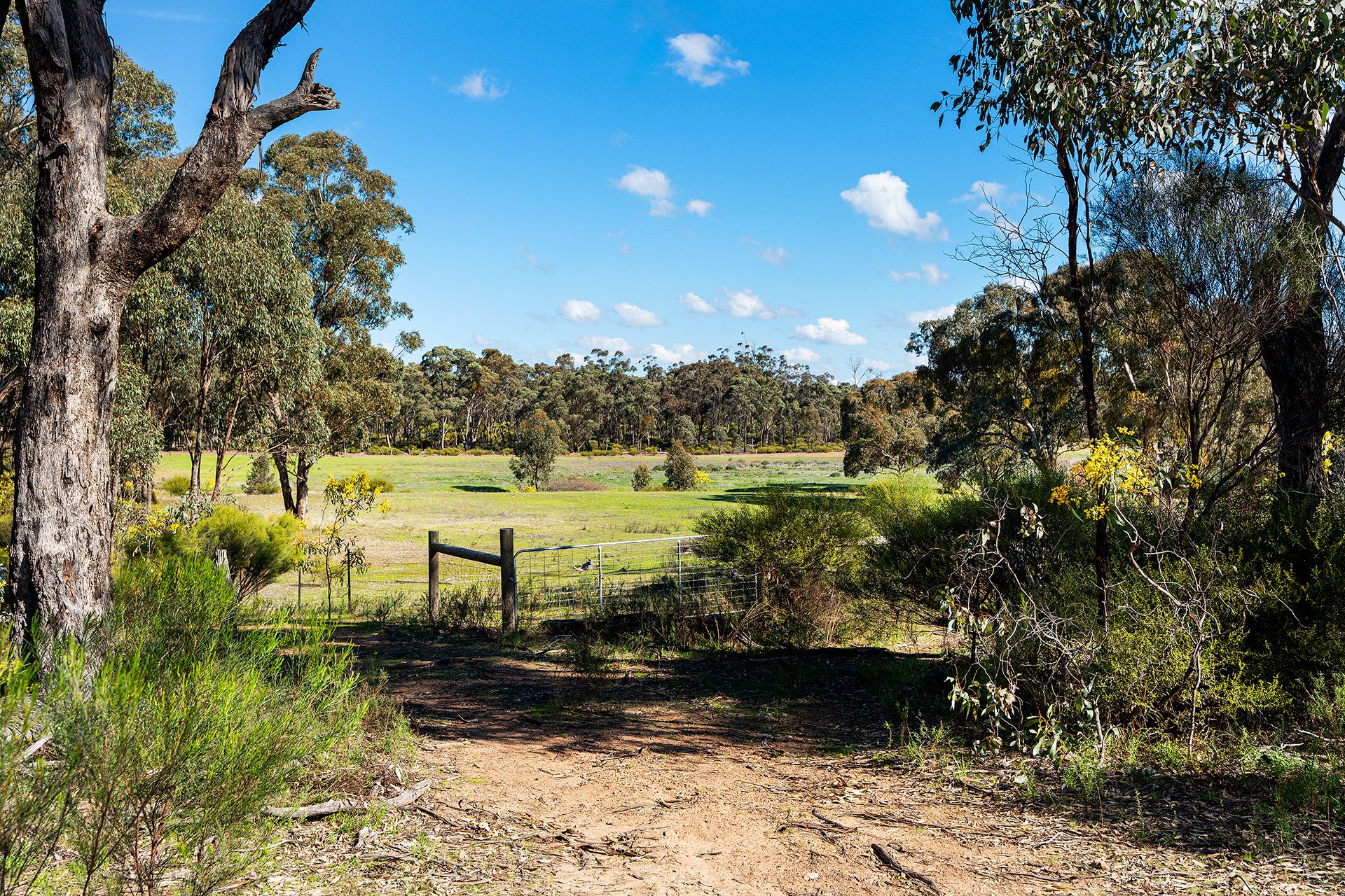 Lot 5, 58 Main Street Eldorado, Harcourt - Thumbnail 6