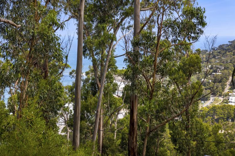 45 Karingal Drive, Wye River, VIC, Wye River - Thumbnail 2