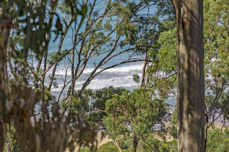 6 Durimbil Avenue, Wye River, VIC, Wye River - Thumbnail 5