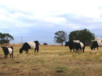 105 Blacks Road, WESLEY VALE, Wesley Vale - Thumbnail 3
