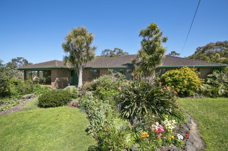 18 Bells Boulevard, Jan Juc - Thumbnail 3