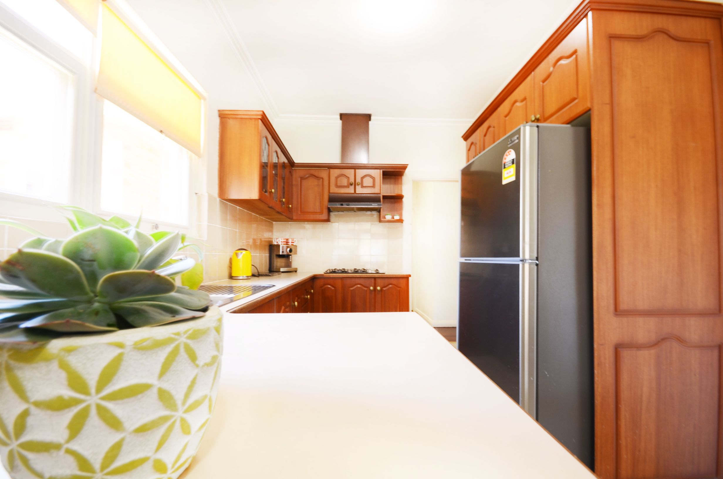 19 Ontario Ave, Panorama SA 5041