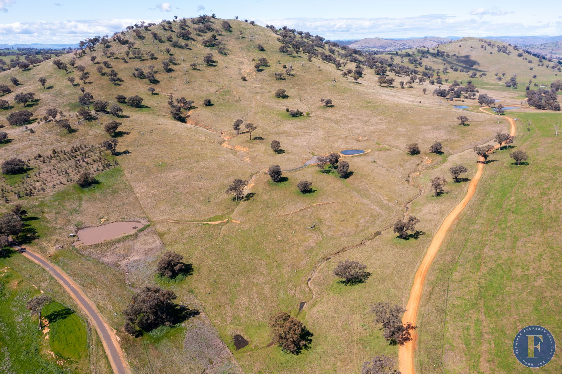 444 Hoares Lane, Coolac NSW, Coolac - Thumbnail 7