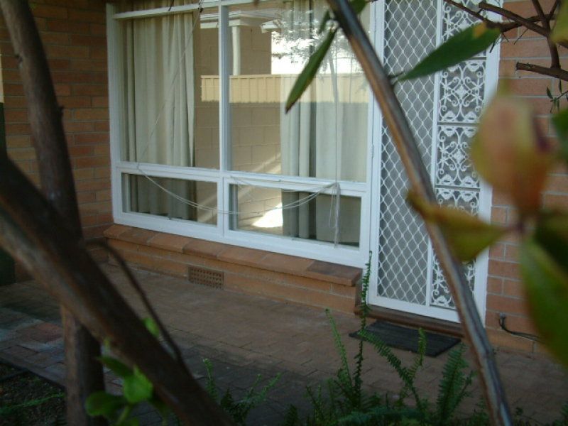 Real Estate For Lease Unit 3/25 Roslind Street Kensington Gardens , SA