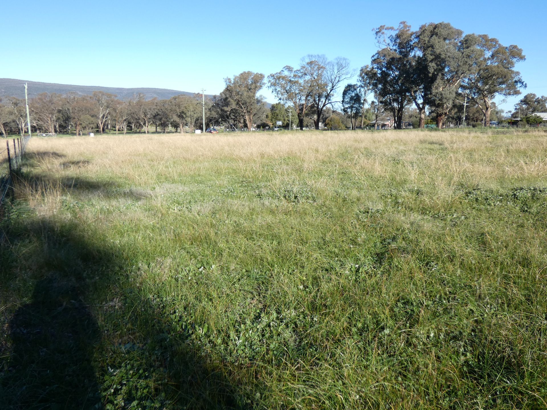 2 Cherry Tree Close, Bendick Murrell NSW, Bendick Murrell - Thumbnail 4