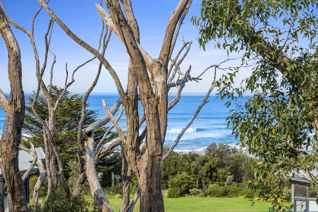 8 Treetops Terrace, Skenes Creek, VIC, Skenes Creek - Thumbnail 5