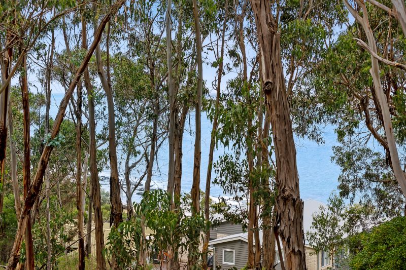 93 Dorman Street, Lorne, VIC, Lorne - Thumbnail 4