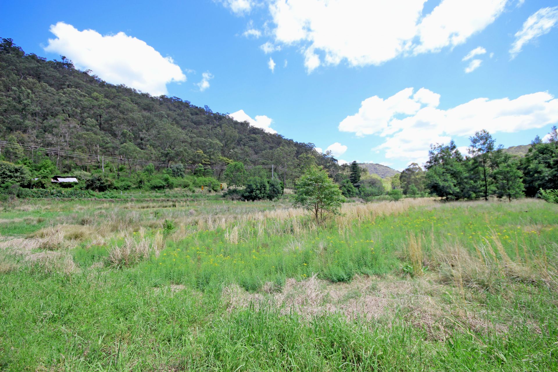 1855 Singleton Road, Colo - Thumbnail 7