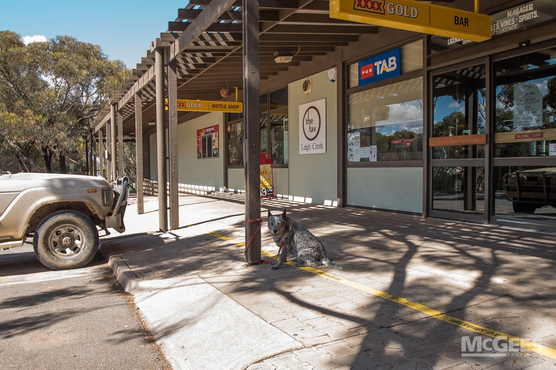 11 Black Oak Drive, Leigh Creek McGees Property Adelaide