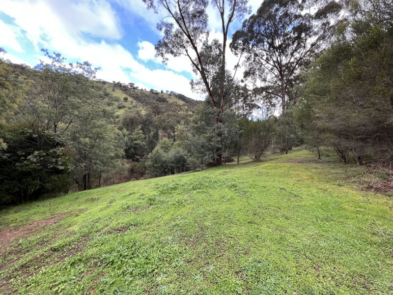 Real Estate For Sale 5759 Long Gully Road Flowerdale , VIC