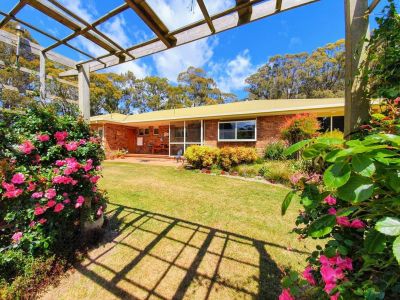 3
 
 
 
  
 
 
 1
 
 
 
  
 
 
 4
 
 
 
 
 
 
 
 35 Chaplins Road, Northdown TAS 7307, Northdown - Thumbnail 2