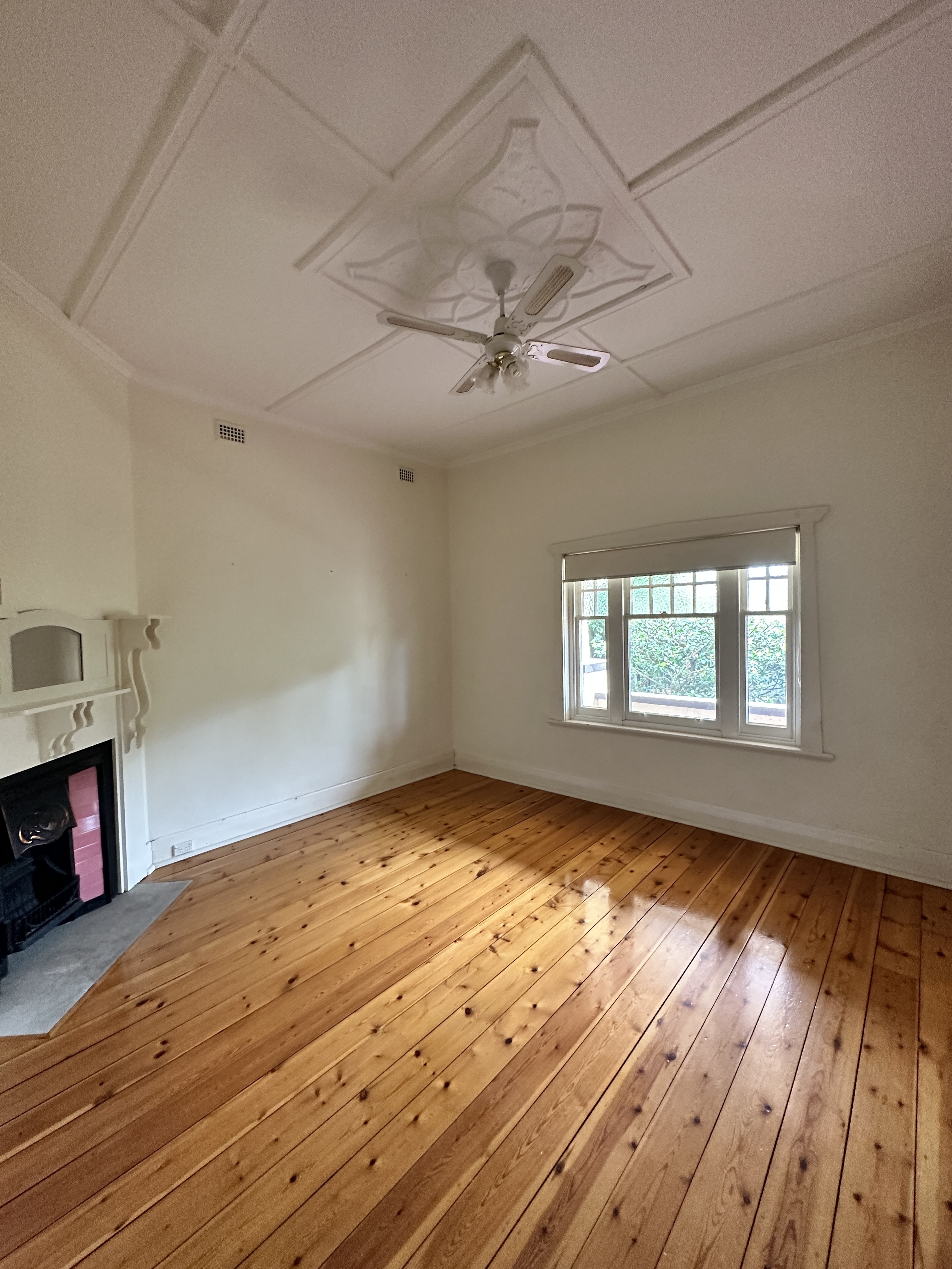 539 South Road  Ashford 5035