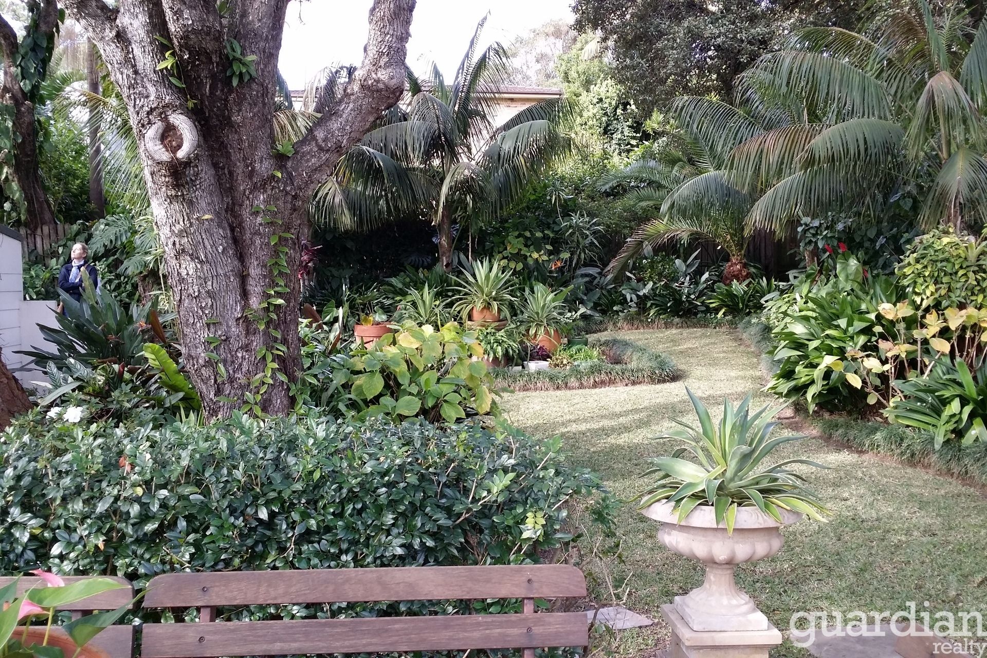 27 Myola Road Newport NSW, Newport - Thumbnail 7
