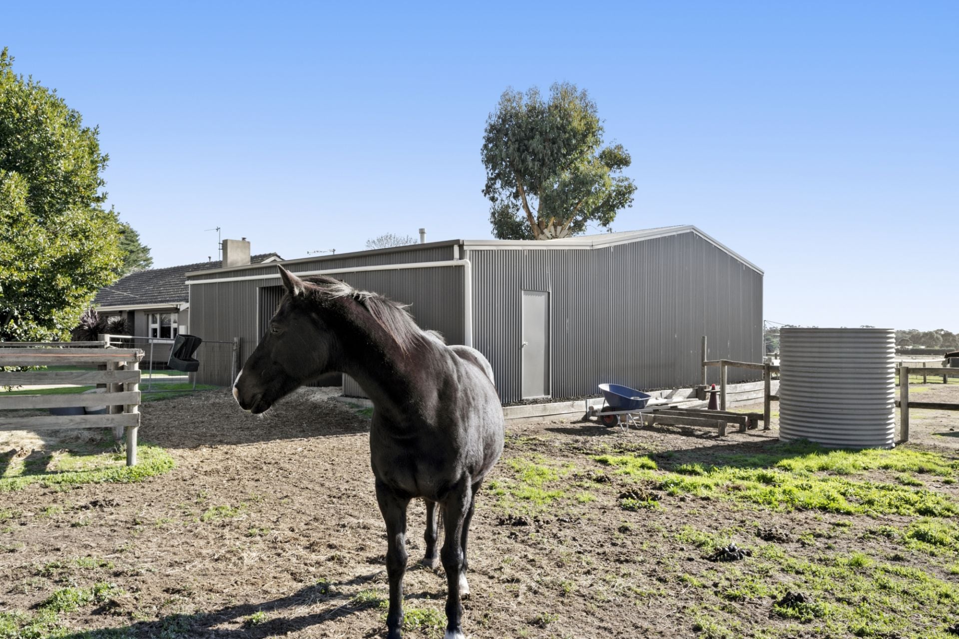 19 Schwarz Road, Bald Hills, Bald Hills - Thumbnail 6