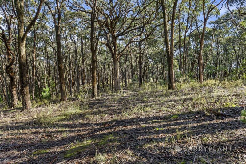 217 Lockyers Road, Garibaldi - Thumbnail 7