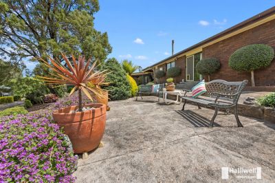 3
 
 
 
  
 
 
 2
 
 
 
  
 
 
 6
 
 
 
 
 
 
 
 47 Morris Road, Melrose TAS 7310, Melrose - Thumbnail 4