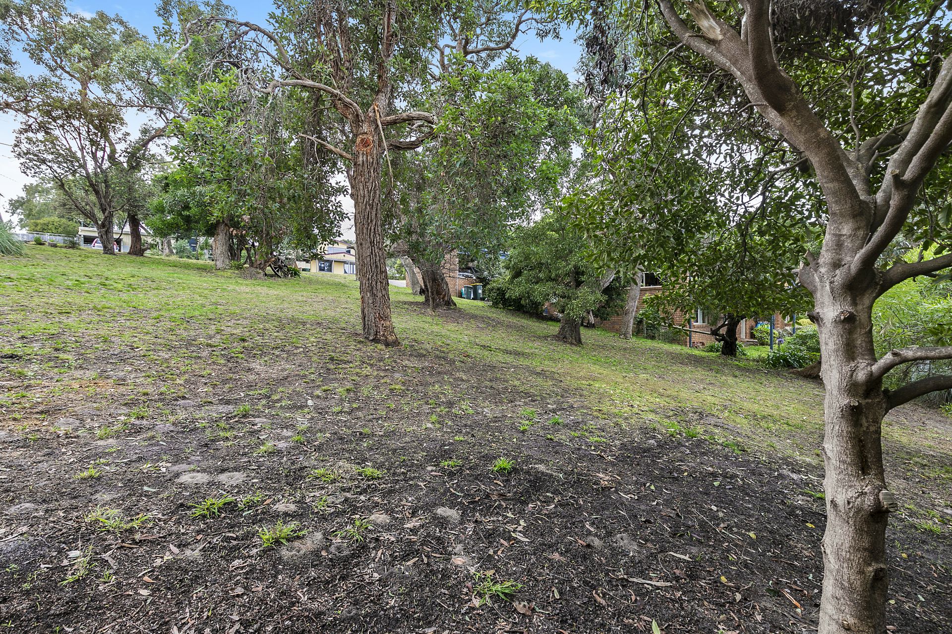 10 Hillcrest Road, Anglesea - Thumbnail 4