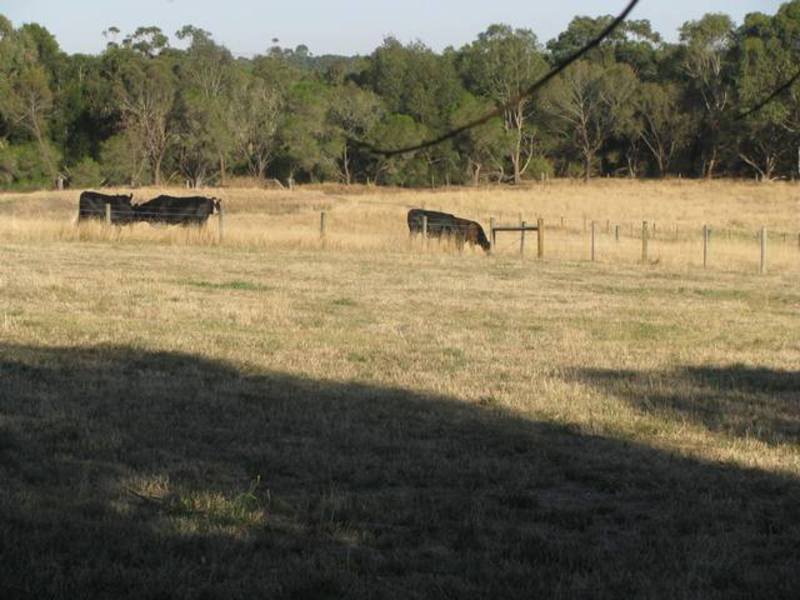 38 Ennis Street, Birregurra, VIC, Birregurra - Thumbnail 3