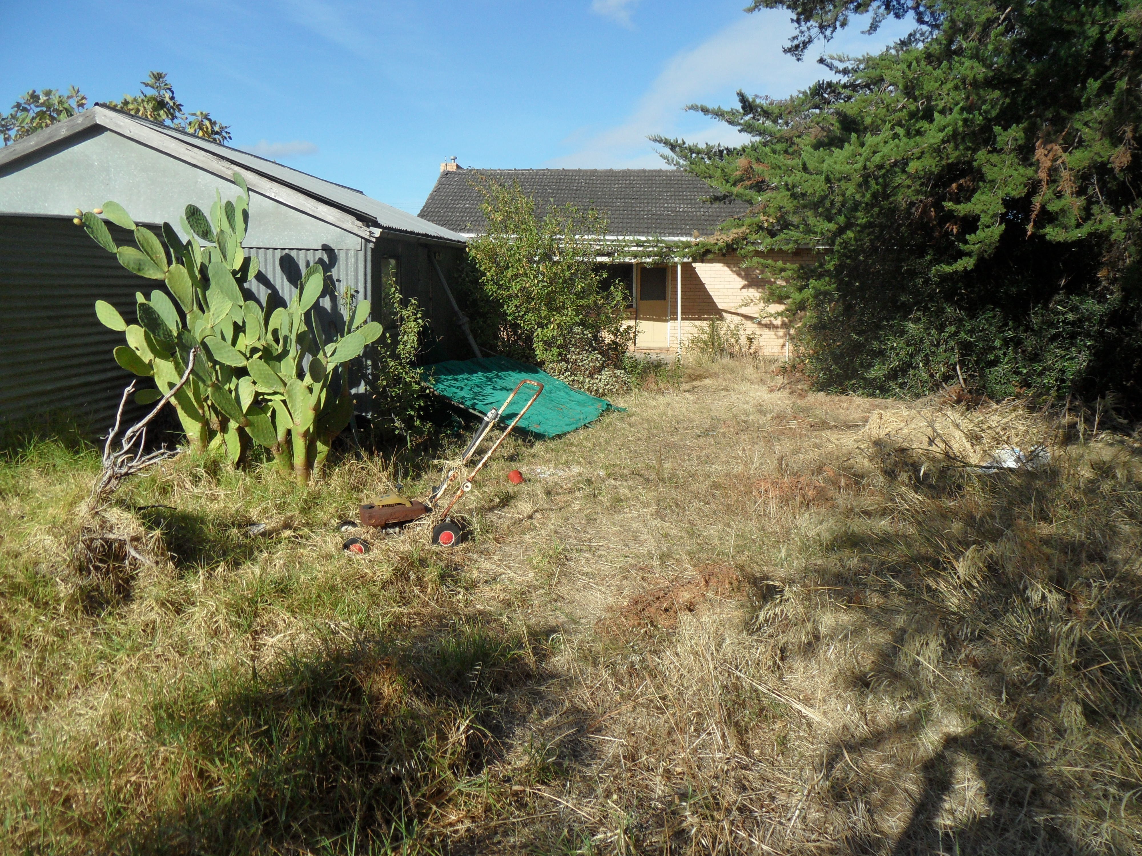 10  Cardigan Avenue Felixstow 5070
