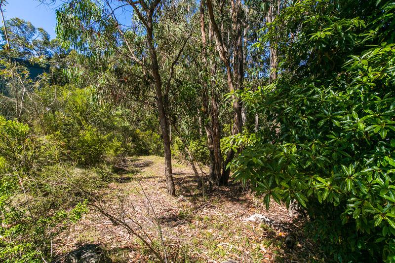 20 Richardson Boulevard, Lorne, VIC, Lorne - Thumbnail 2