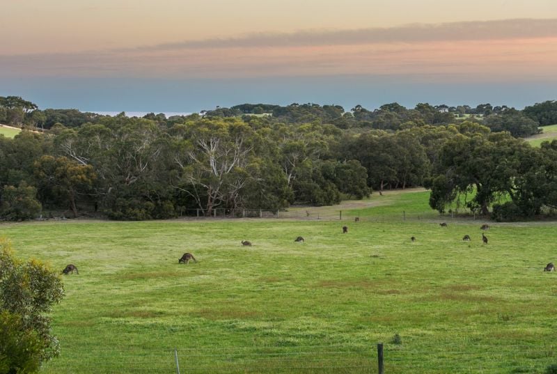45 Hurst Road, Bells Beach - Thumbnail 7