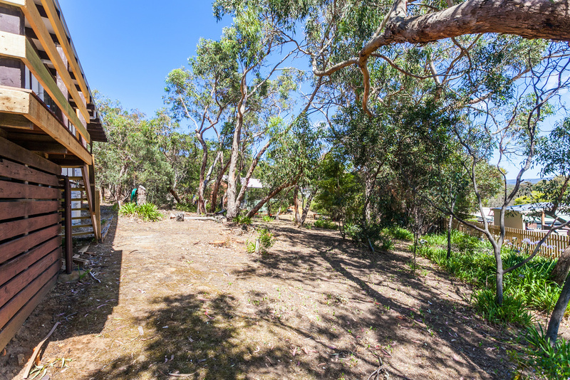 103 Noble Street, Anglesea, VIC, Anglesea - Thumbnail 7