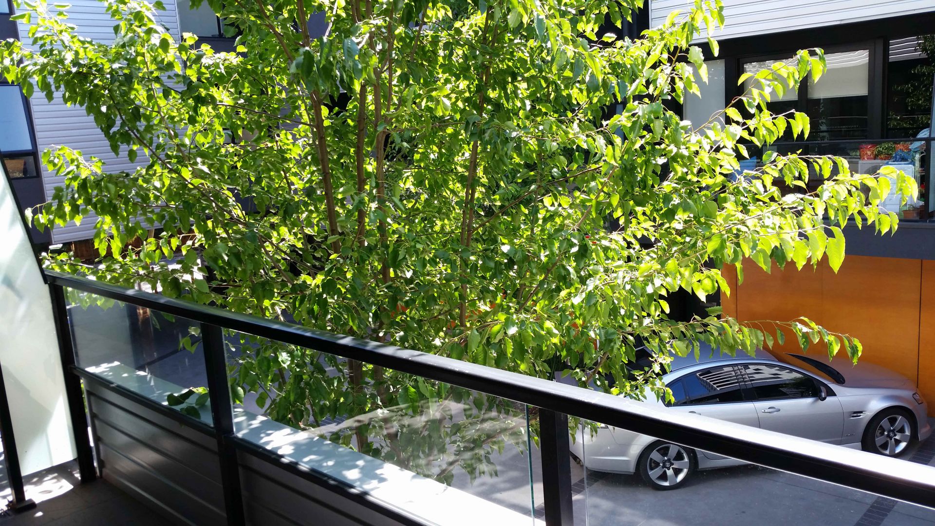 33 Cirque Drive, Footscray - Thumbnail 3