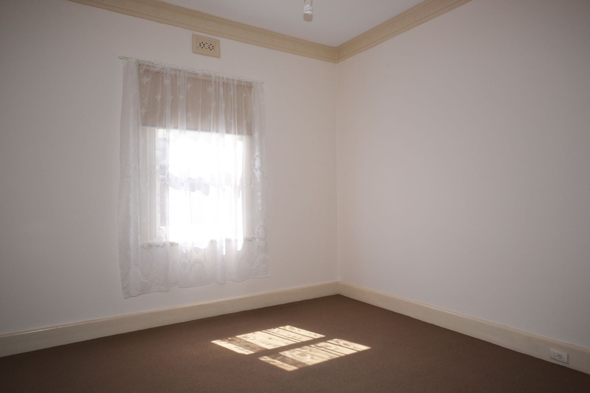 RENOVATED DELIGHT