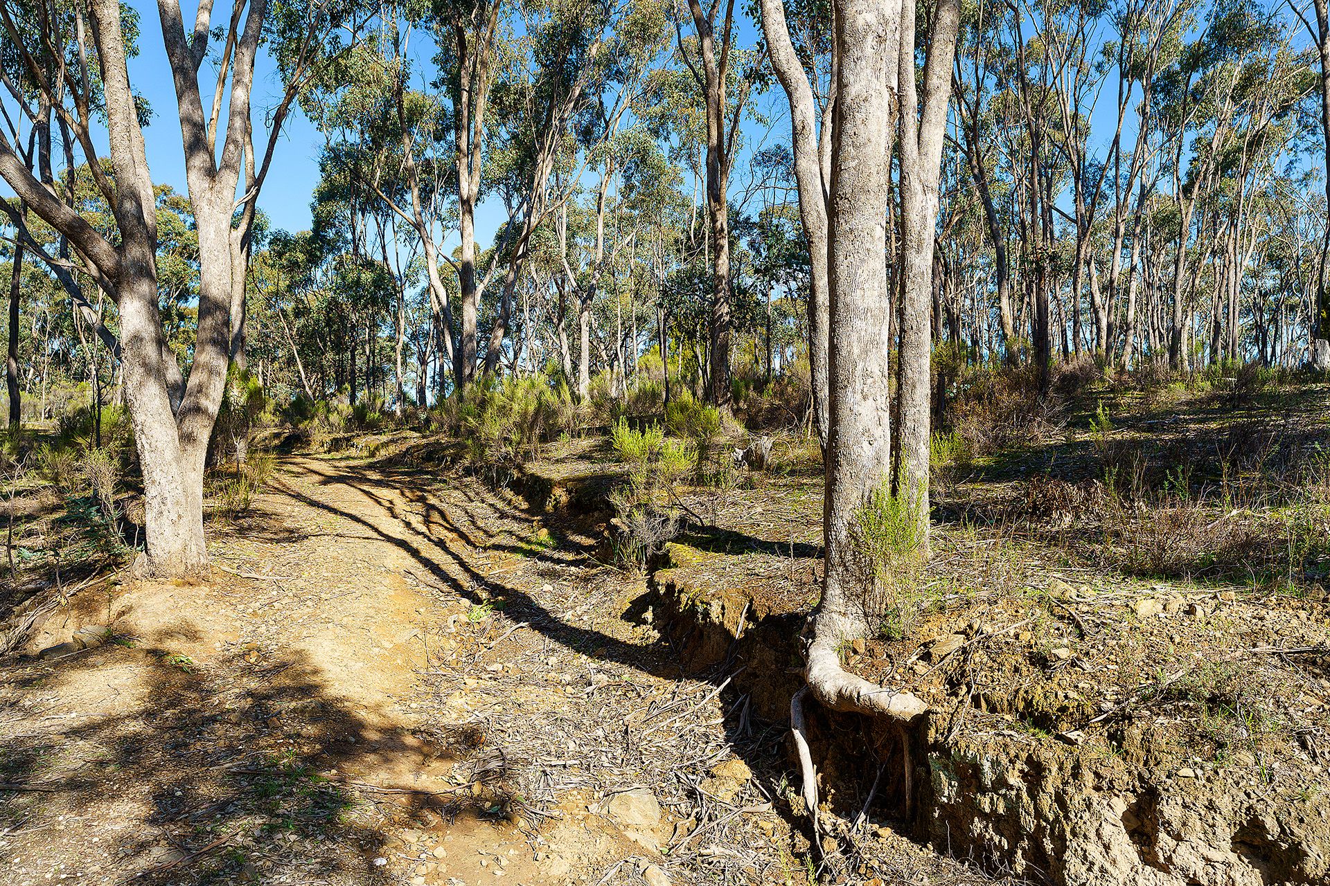 32 Dishpan Gully Road Chewton Bushlands, Chewton Bushlands - Thumbnail 6