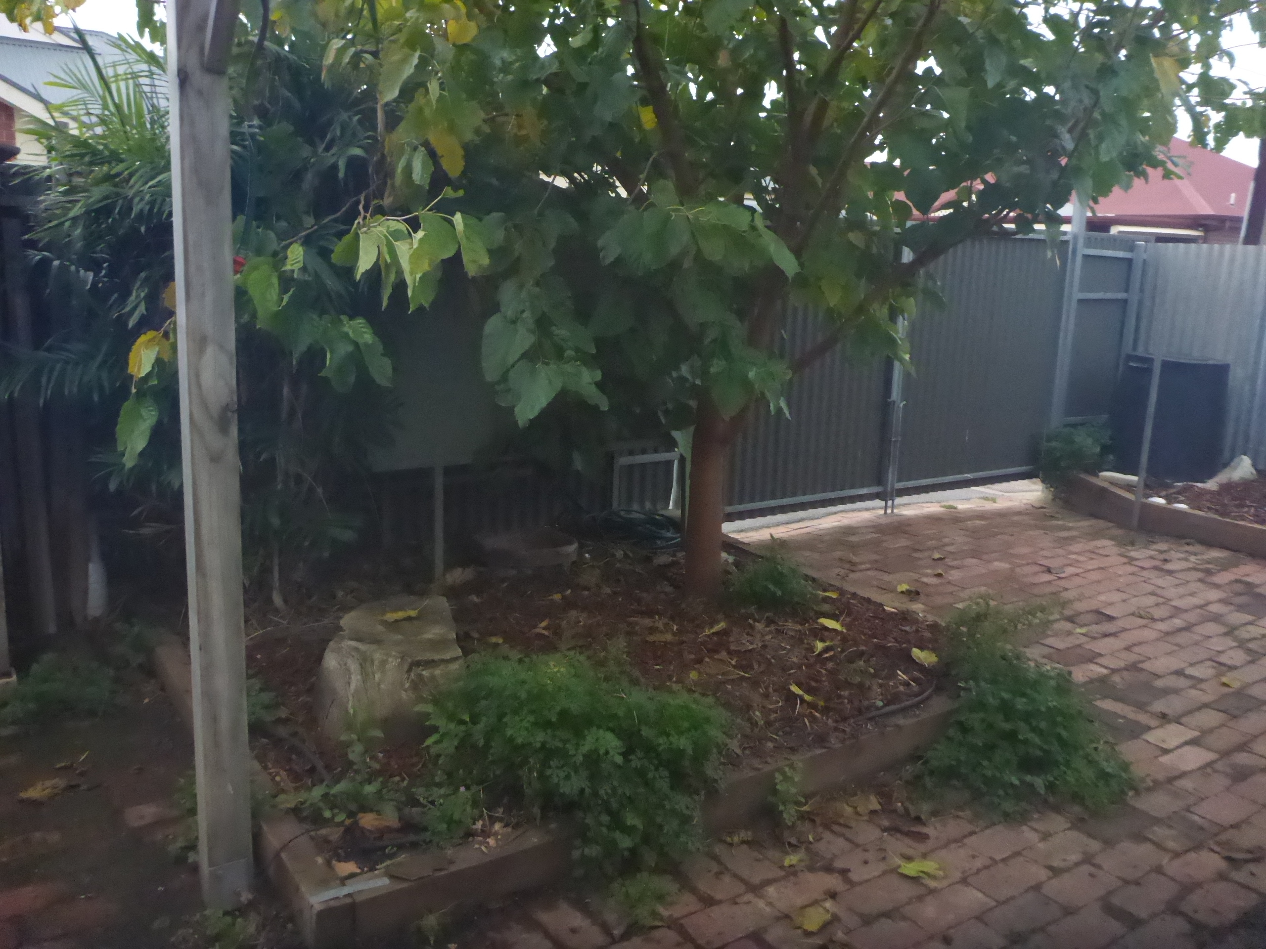 32 Cavendish Street Semaphore 5019