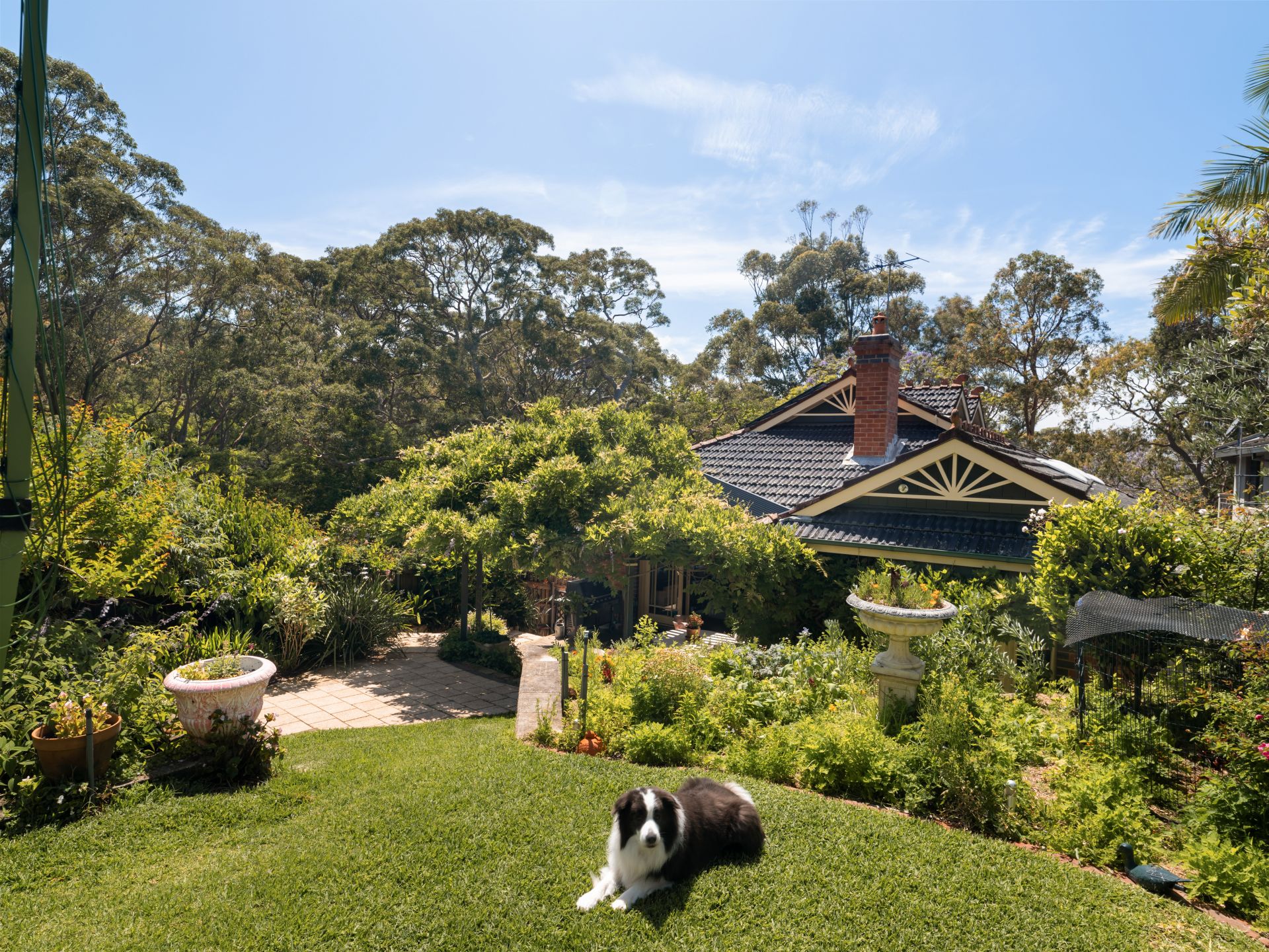 12 Grandview Parade, Caringbah South NSW, Caringbah South - Thumbnail 6