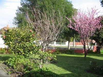 3
 
 
 
  
 
 
 1
 
 
 
  
 
 
 1
 
 
 
 
 
 
 
 20 George Street, DEVONPORT TAS 7310, Devonport - Thumbnail 4