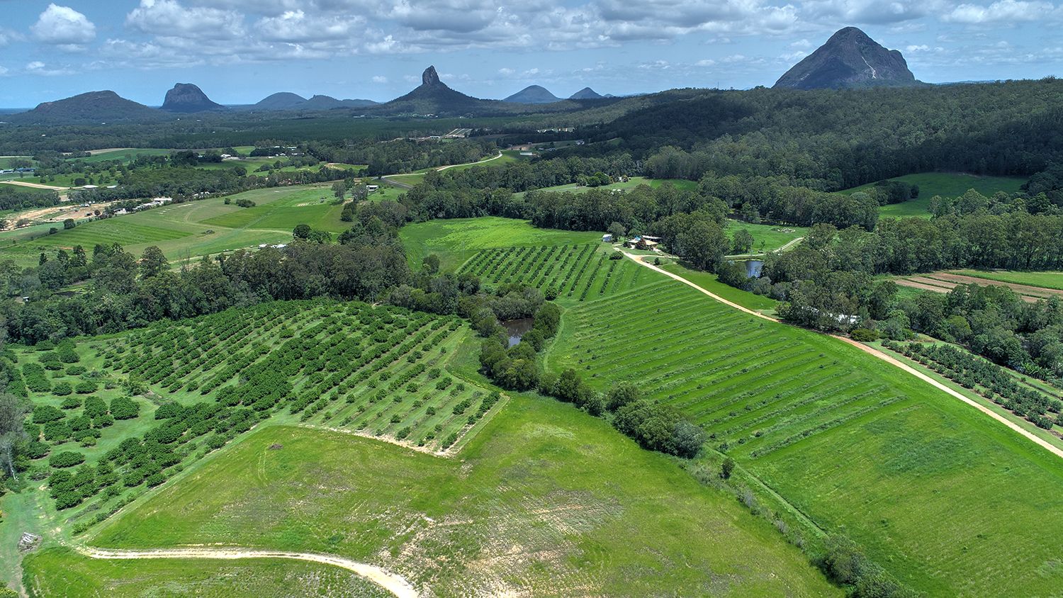 Real Estate For Sale 120 Stirling Road Beerwah , QLD