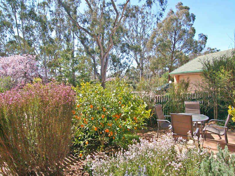 2/53 Coolibah Crescent, O'Connor - Thumbnail 3