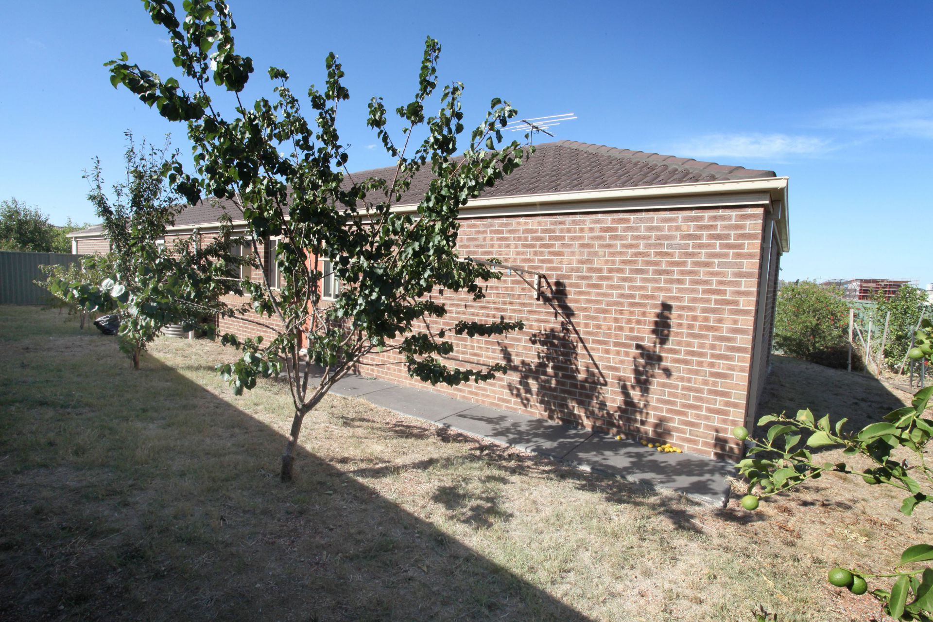 23 Goodenia Way