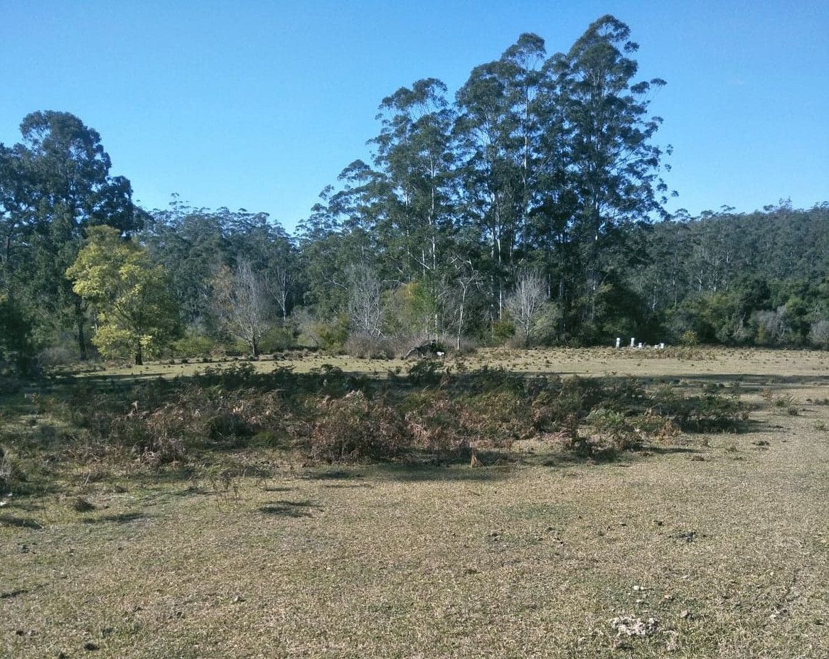 25 Middle Valley Rd, MARLO MERRICAN NSW 2441