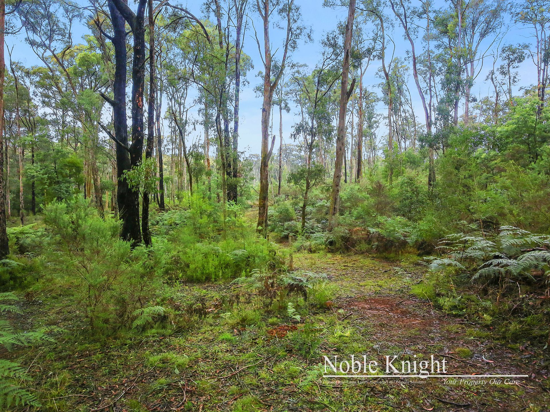 2/53 Banksia Court Castella