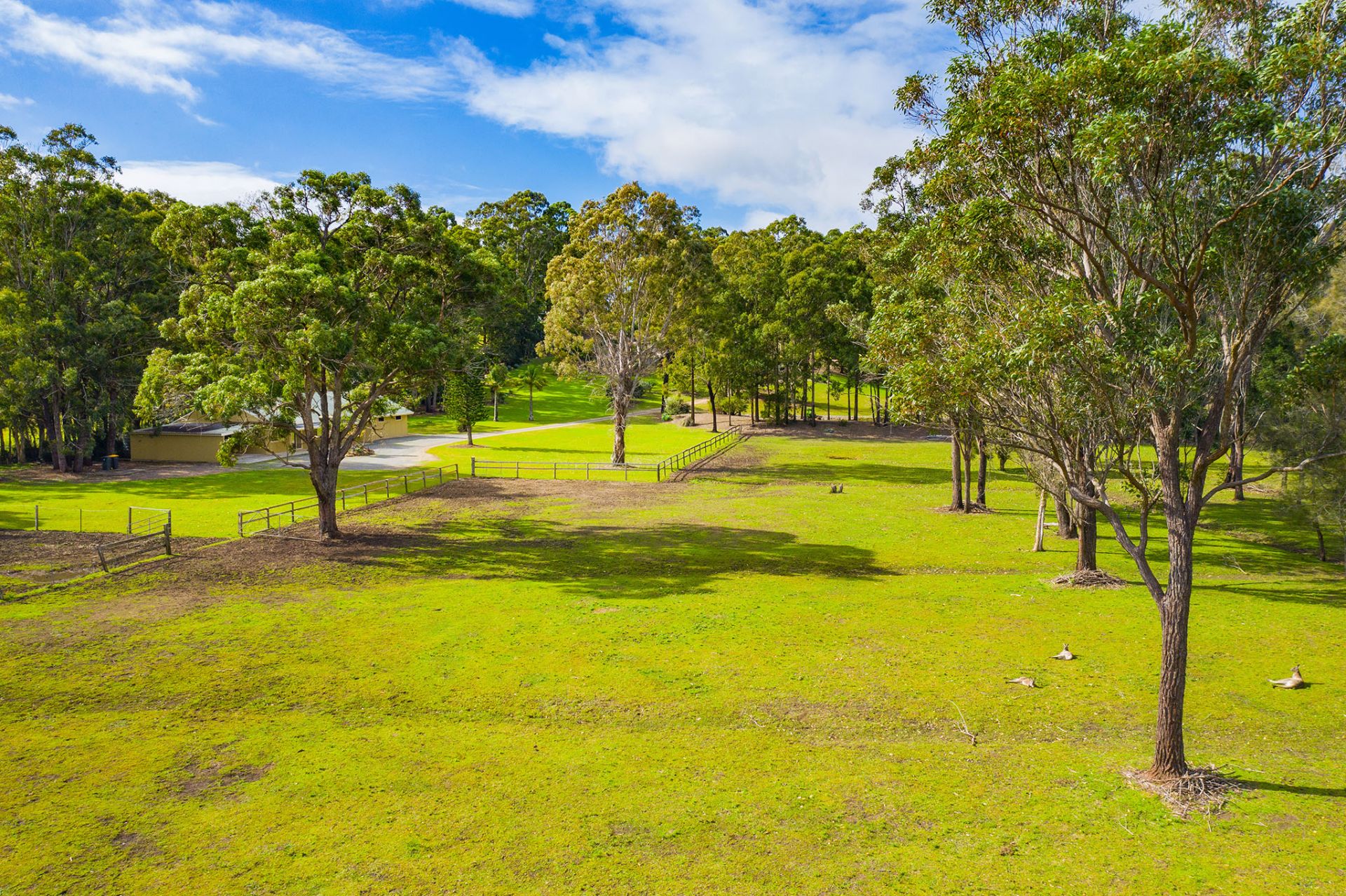 292 Lake Innes Drive, Lake Innes HEM Real Estate