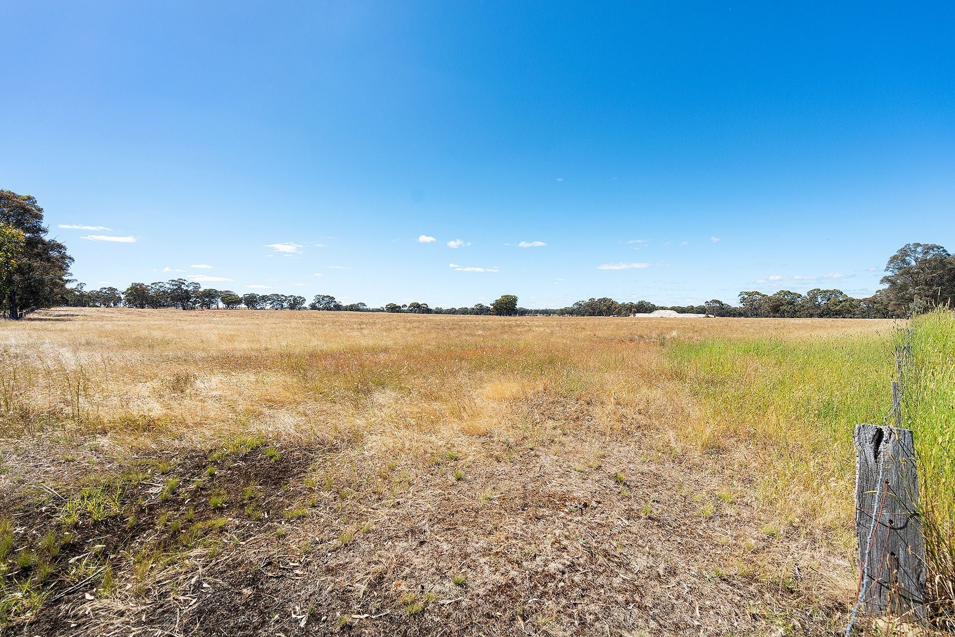 20 Ross Drive, Castlemaine - Thumbnail 6