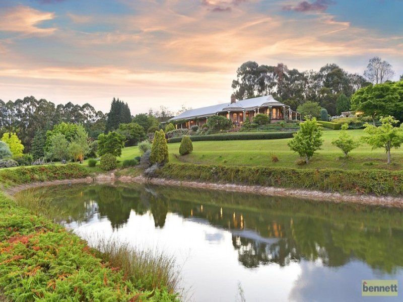 33 Douglas Road, Kurrajong Heights - Thumbnail 8