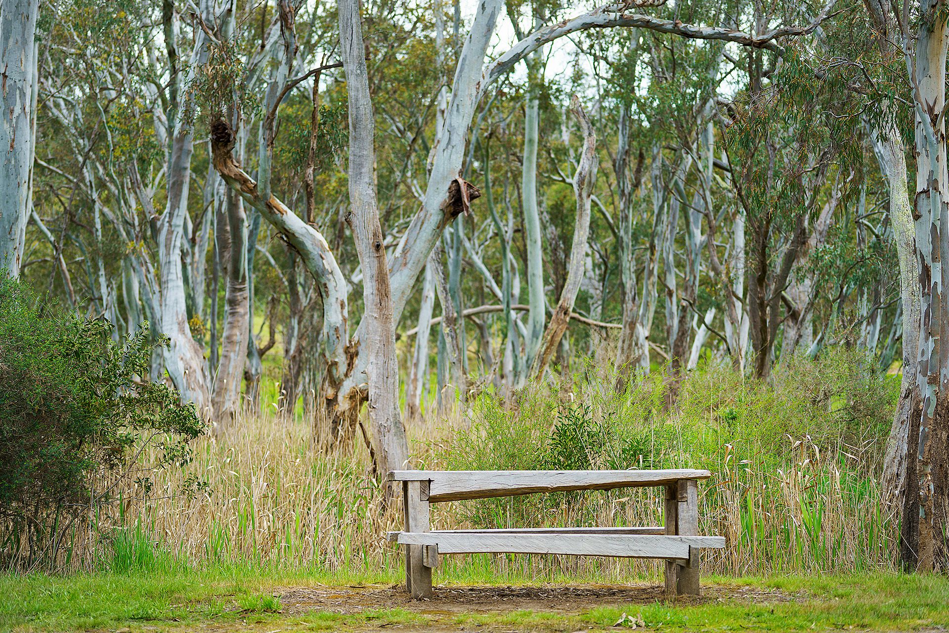 Lot 20/ Harrow-Casterton Road, Harrow VIC 3317