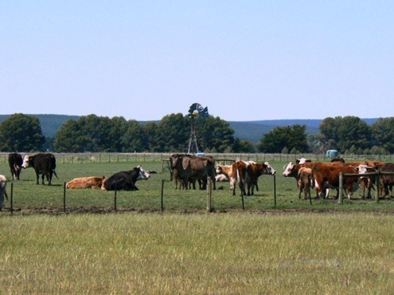 174/175 Old Telegraph Road SEBASTOPOL SA, Sebastopol - Thumbnail 3