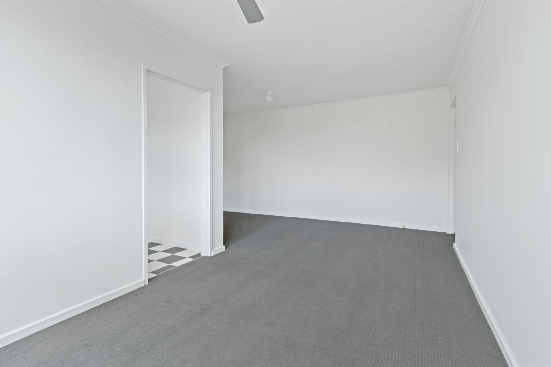 Filled with natural light!