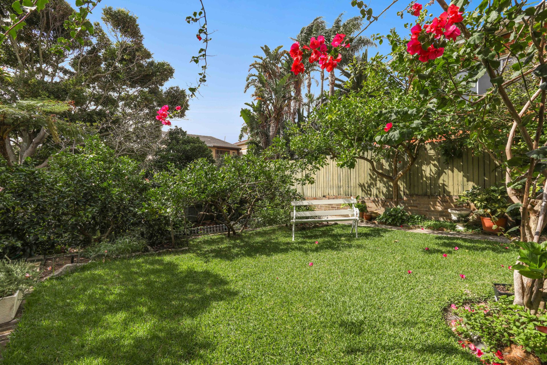 32 Blake Street, Rose Bay, Rose Bay - Thumbnail 4