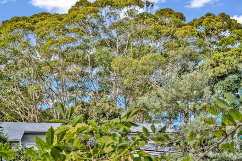 11 Scarfe Street, Smiths Lake, Smiths Lake - Image 1